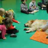 La pet education negli asili